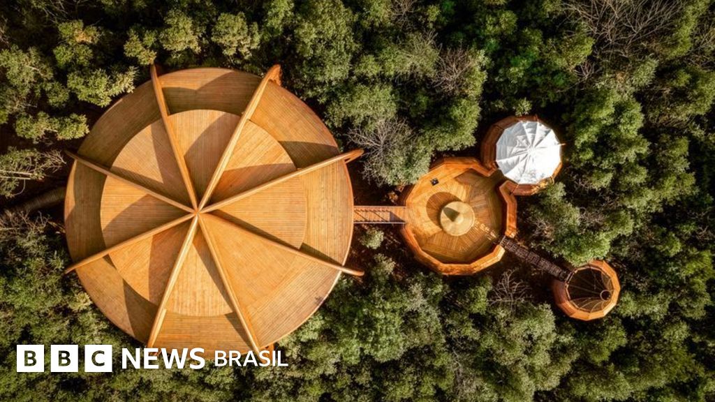 Casas na árvore mais incríveis do mundo: um refúgio para escapar da vida urbana