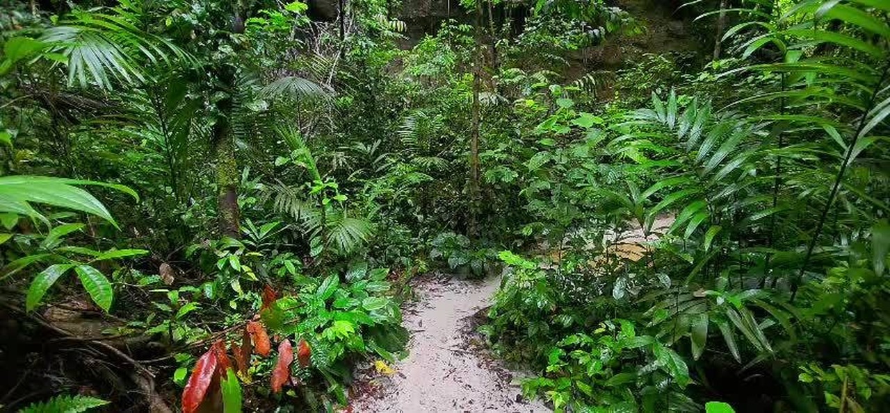 Caso do Pico Paraná vira alerta para turistas e guia dá dicas para quem busca trilhas no A