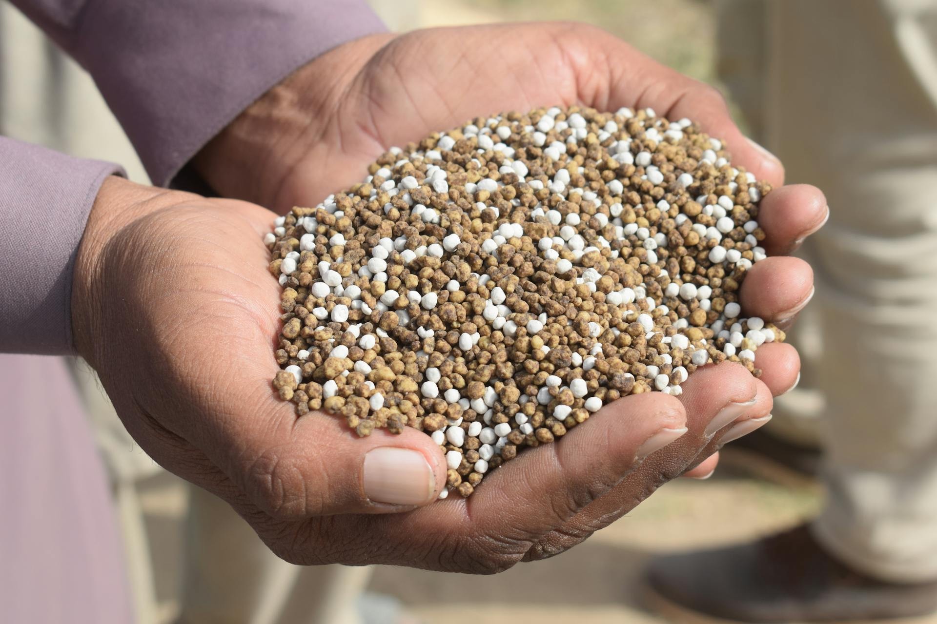 China limita exportações de fertilizantes: impacto nos preços dos alimentos no Brasil