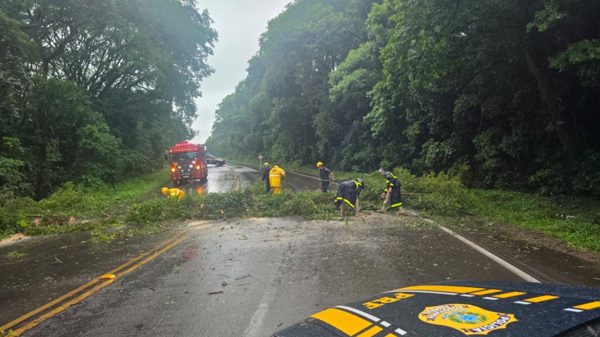 Chuva causa alagamentos, bloqueia estrada, derruba árvores e deixa moradores fora de casa 