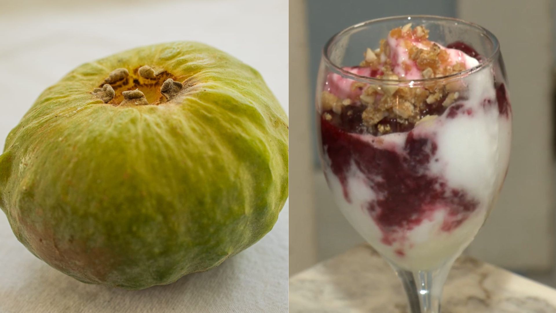 Desvende-se: A Gabiroba Gigante, Fruta Rara da Mata Atlântica que Revoluciona a Gastronomia