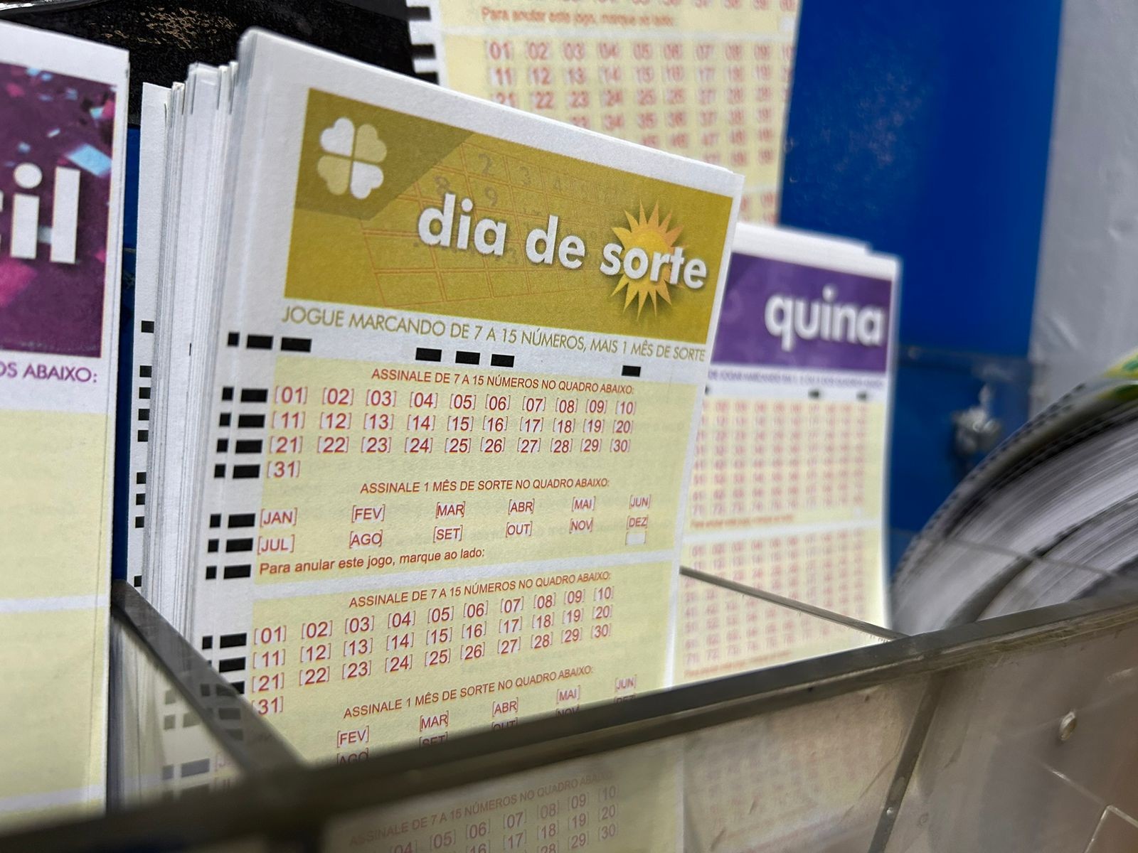 Dia de Sorte hoje: resultado do concurso 1162 e números sorteados