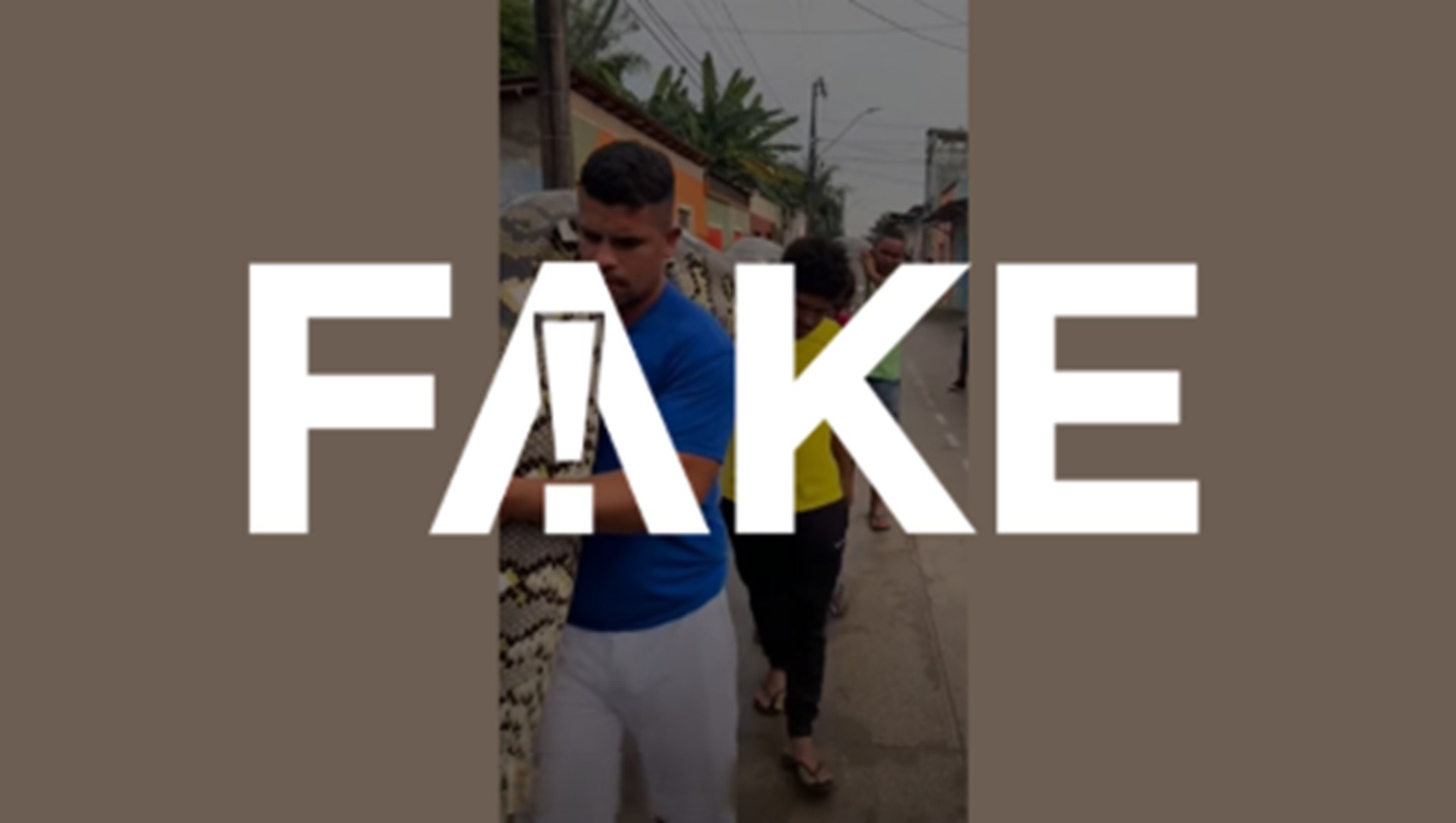 É #FAKE vídeo de homens carregando cobra gigante na Amazônia; cena foi feita com inteligên