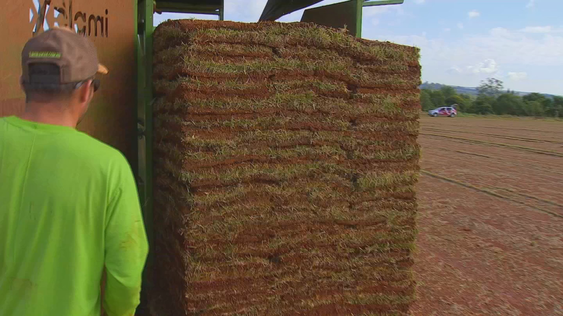 Economia de Grama: Produção de Campo em Itapetininga Ajusta Pelo Fim da Copa do Mundo