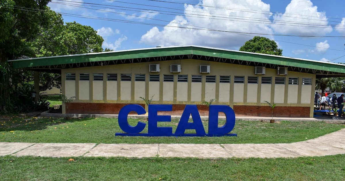 Educação Inclusiva: 3.000 Vagas Gratuitas em Libras, AEE e Tecnologias Assistivas na UFPI