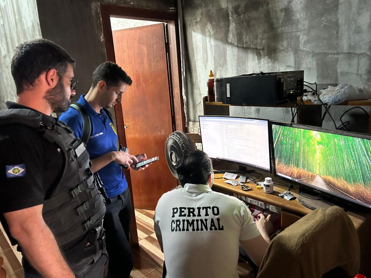 'Gatonet': polícia descobre dados de criminosos na deep web e investiga se esquema envolve