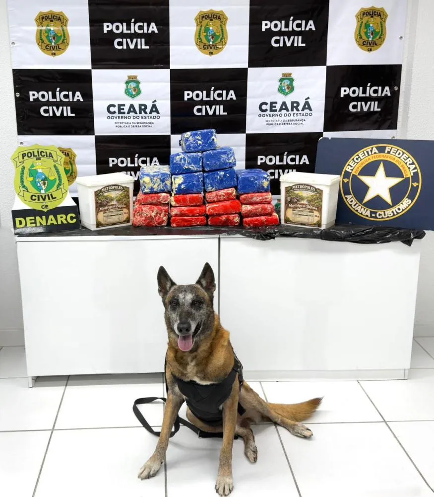 Grande Operação Ceiú no Ceará: Polícia Civil e Receita Federal Apelam a Justiça por 27 kg de Skunk
