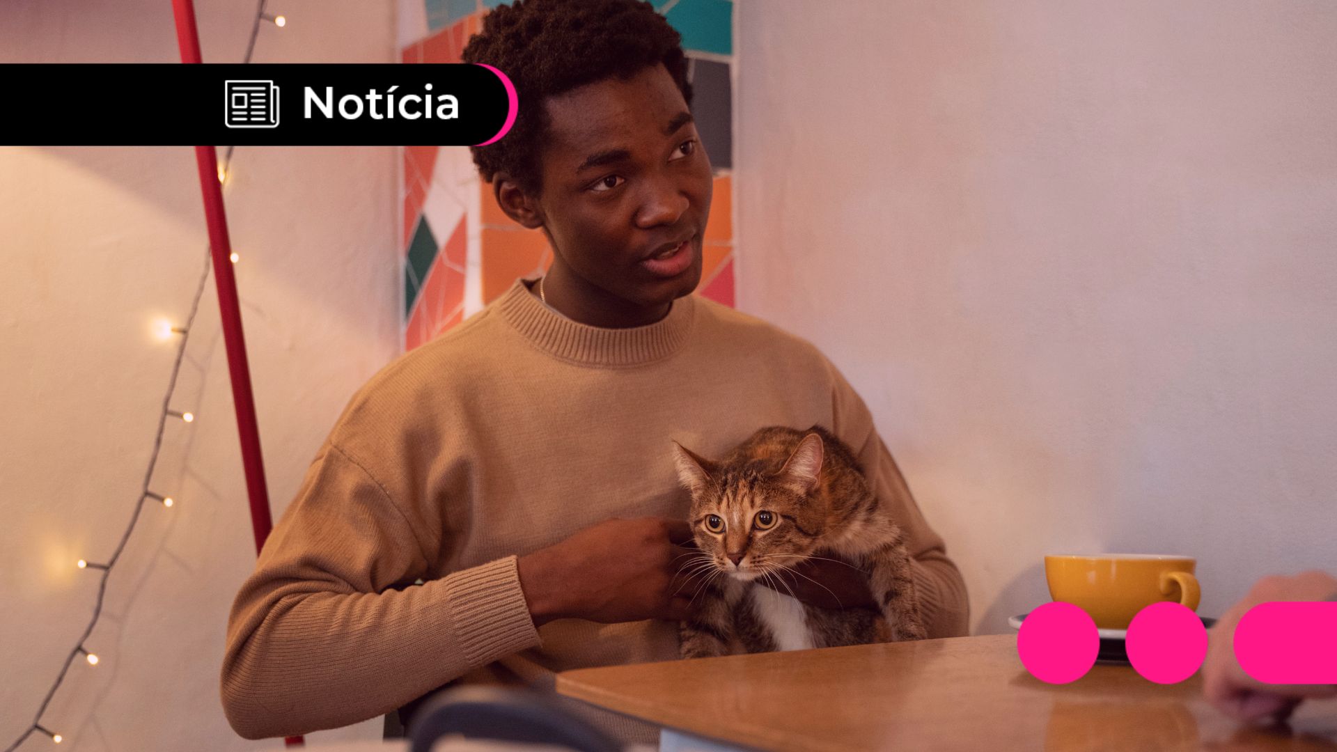 Guerra de Bons Animais: Lei Brasil Define Guarda Compartilhada de Pets