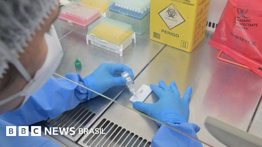 Hantavírus: A Doença Silenciosa que Mata Metade dos Infectados no Brasil