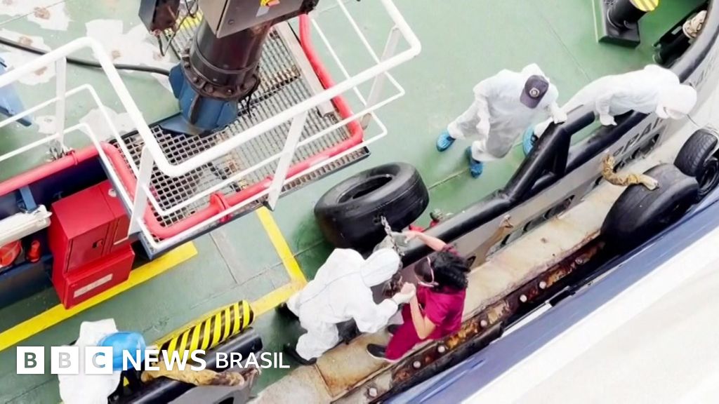 Hantavírus: Três Morte a Bordo do Navio de Cruzeiro no Atlântico