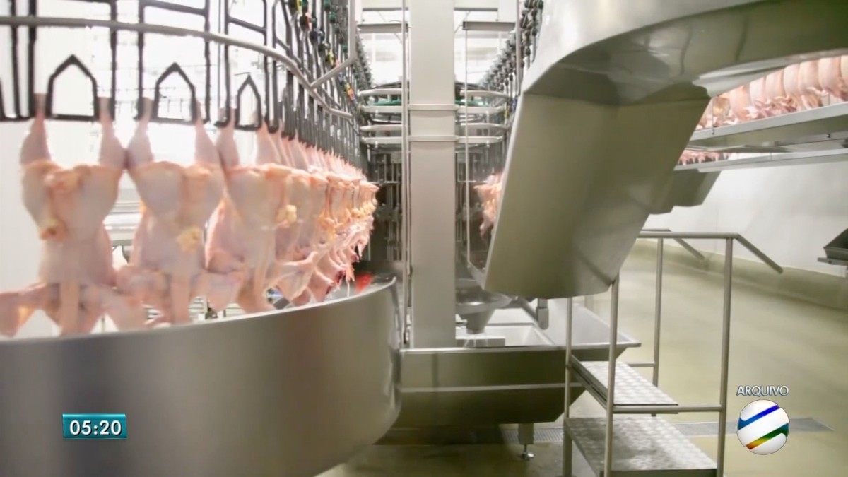 Impactos da Guerra no Oriente Médio no Mercado de Carne de Frango no Brasil: Entendendo os Desafios e Alternativas