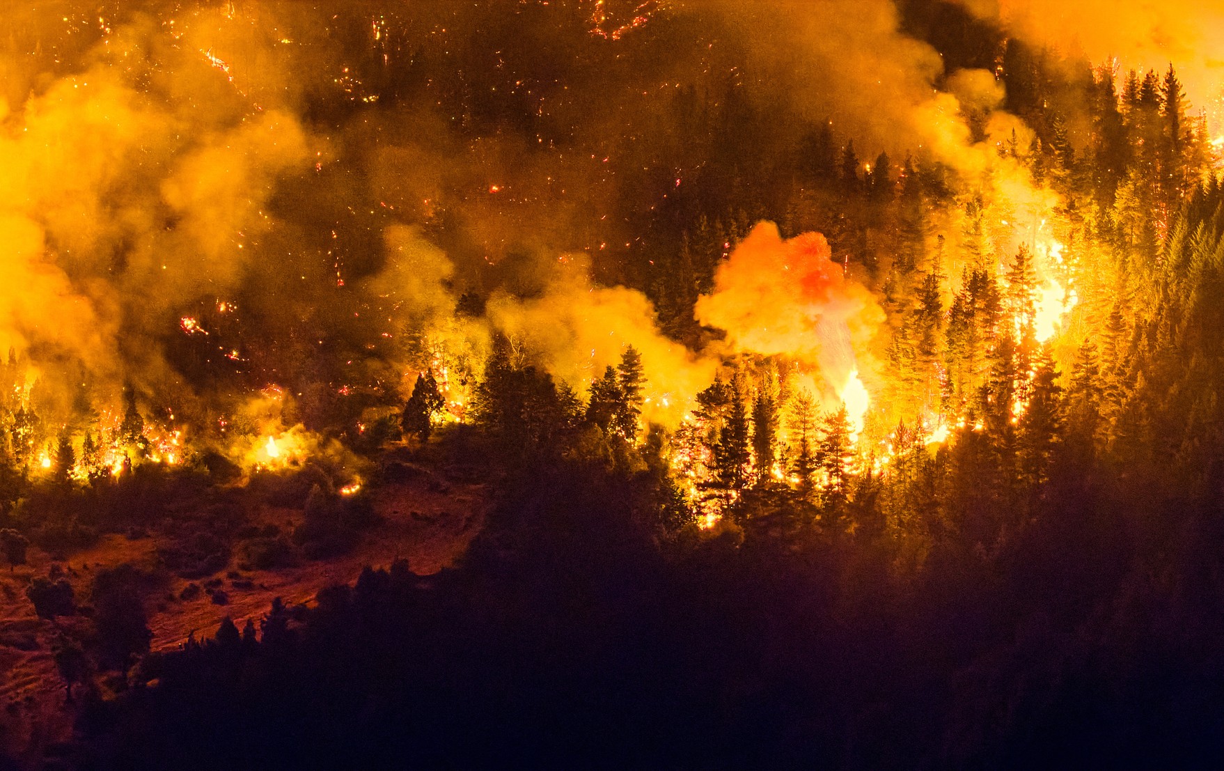 Incêndio florestal atinge a Patagônia argentina