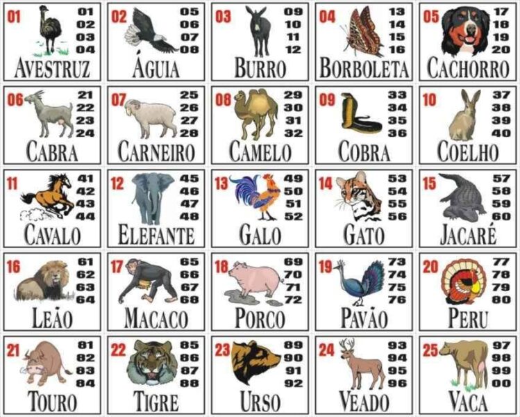 Jogo do Bicho de Hoje: Confira os Resultados do Ceará