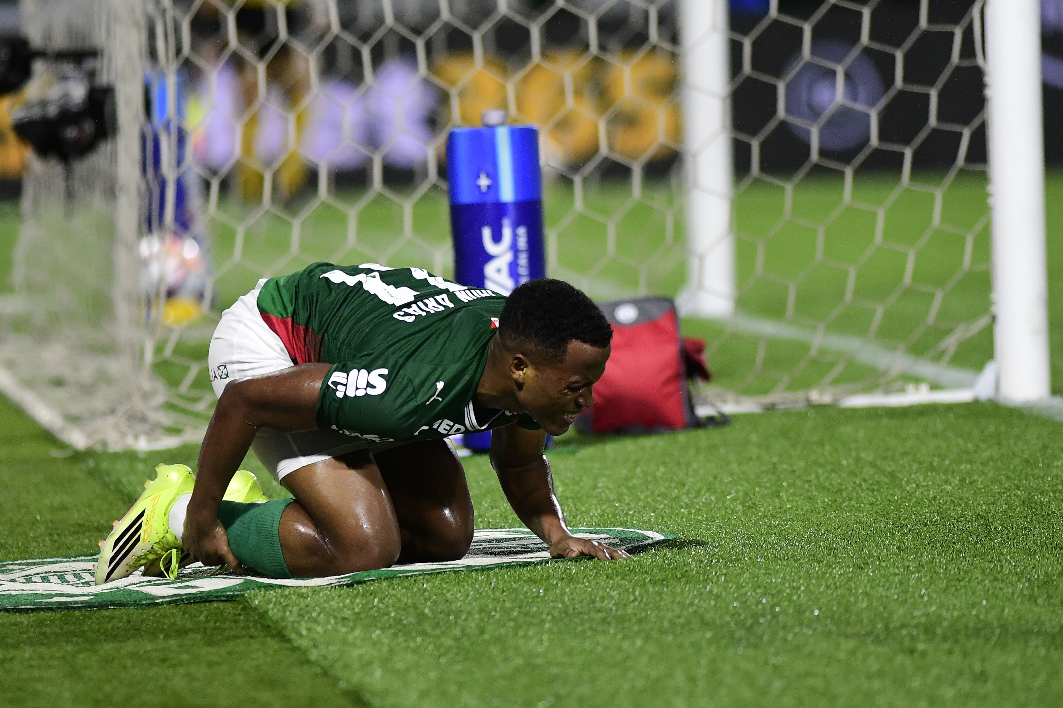 John Arias reencontra Fluminense após anúncio no Palmeiras: confira a nova atração do Tricolor