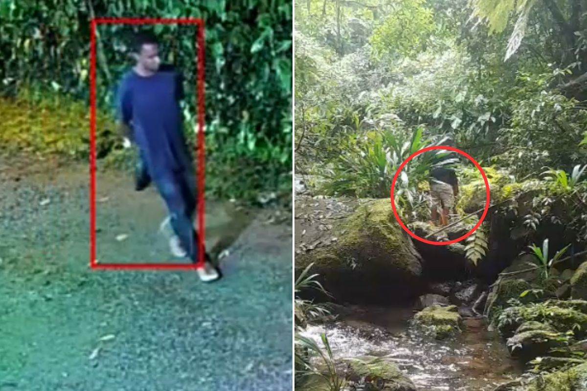 Jovem é encontrado em área de mata no litoral de SP após desaparecer na virada do ano; VÍD