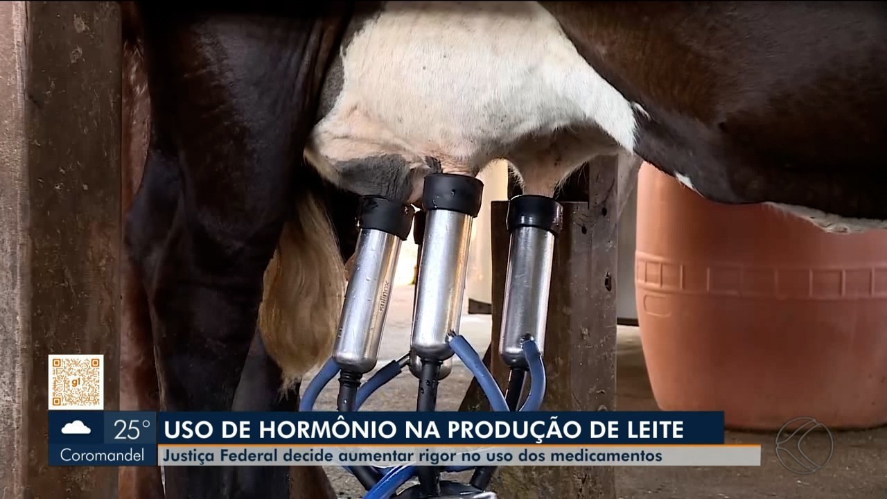 Justiça Federal endurece controle sobre uso de hormônios por produtores de leite em MG