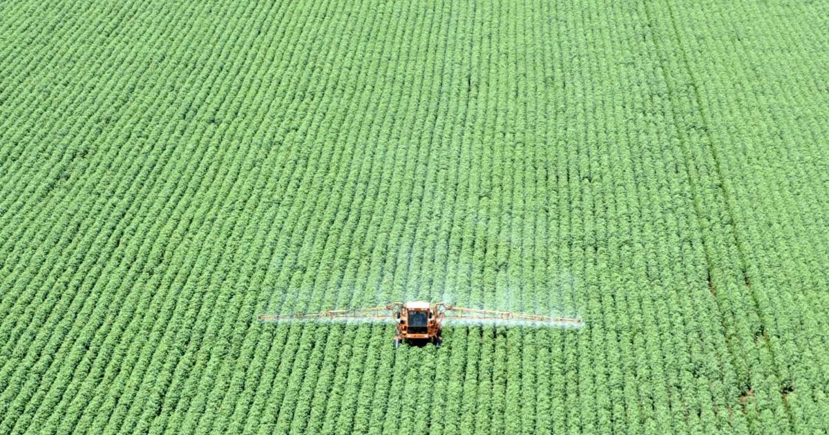 Mercosul-UE: Agro brasileiro projeta crescimento para além das commodities