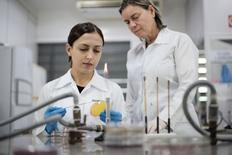 Novas Diretrizes para Cursos de Enfermagem: 4 Mil Horas Presenciais e Formação mais Prática