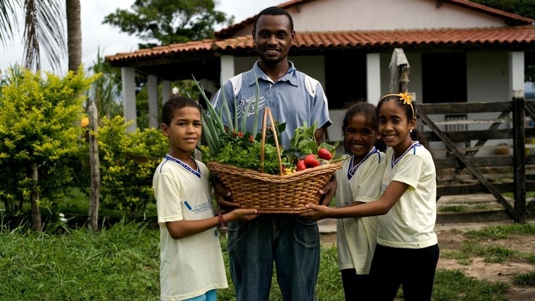 Nutricionistas: Oportunidade Estratégica de Formação Gratuita no PNAE!