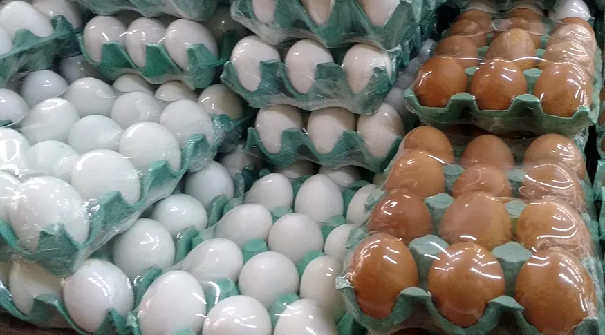 Ovos, Frango e Carne Suína: como a Guerra no Irã pode Encarecer Alimentos no Brasil