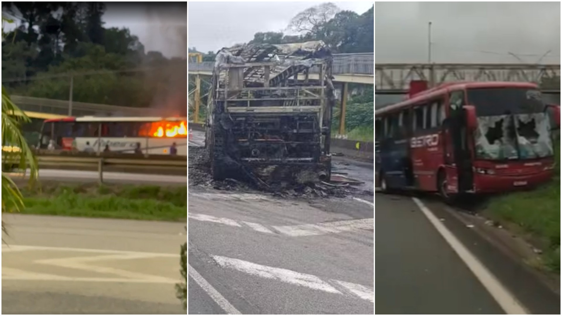 Palmeirense preso por morte de torcedor do Cruzeiro em emboscada na grande São Paulo