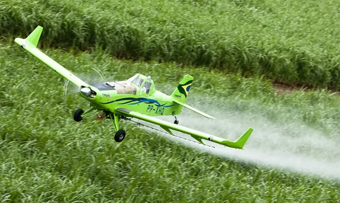 Pesticidas se tornam mais perigosos para a Terra: estudo aponta aumento de 6,4% no risco para insetos e aracnídeos.