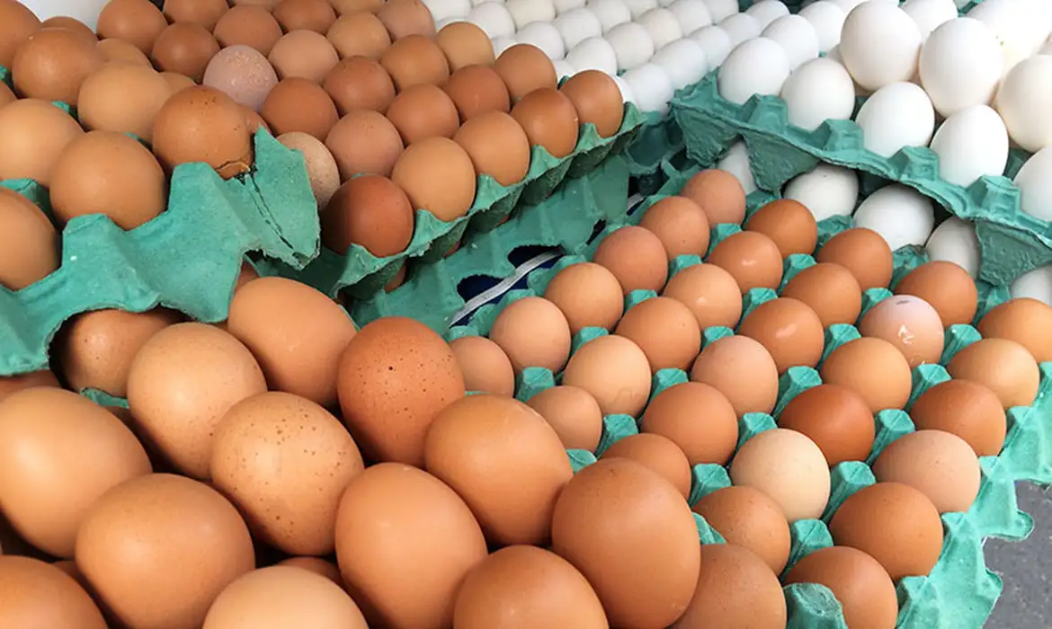 Preços de Ovos no Ceará: Queda de 10% Revoluciona o Mercado