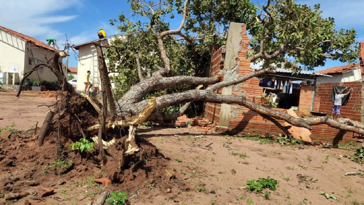 Prefeitura decreta situação de emergência após temporal danificar casas na região sul de P