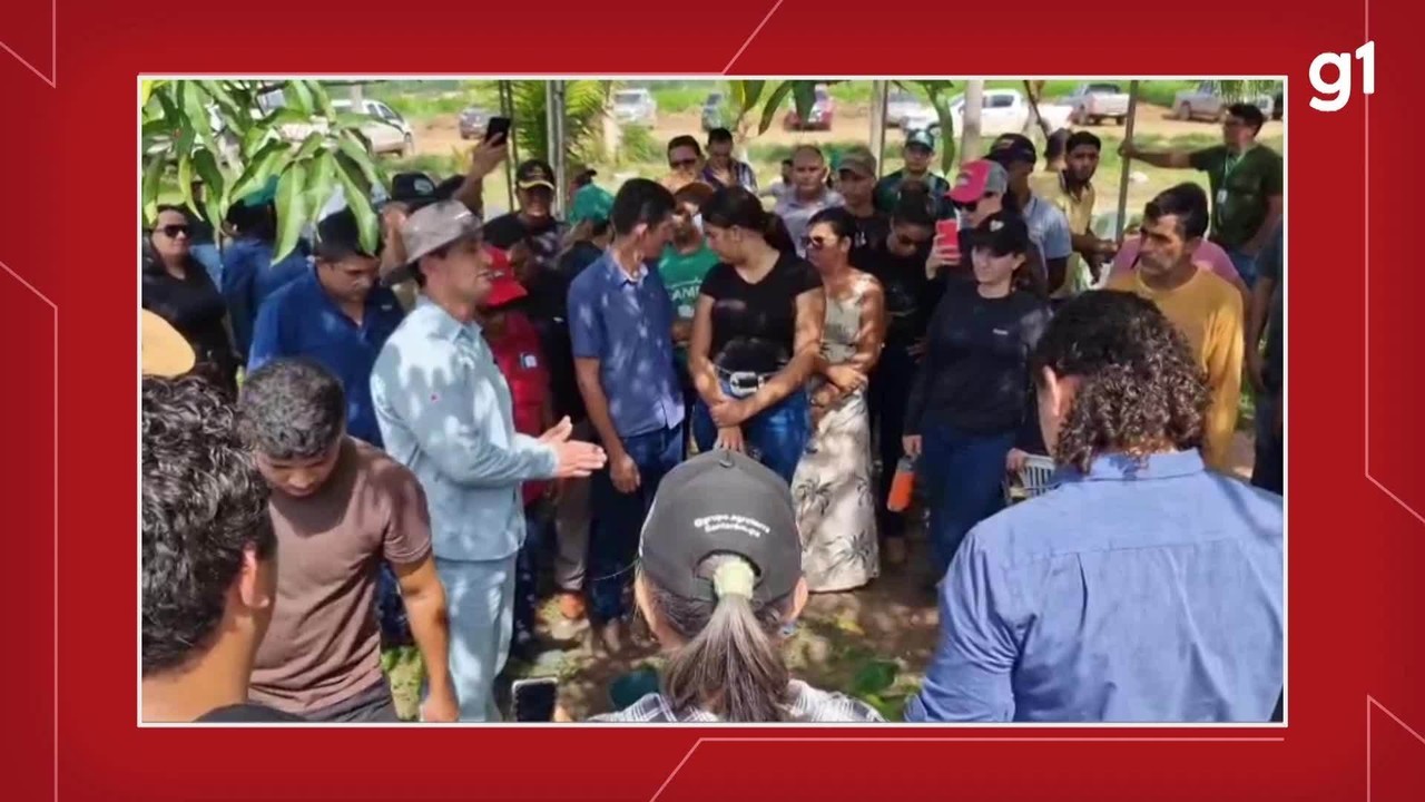 Produtores rurais participam de Simpósio e Dia de Campo de Bananicultura em Rurópolis