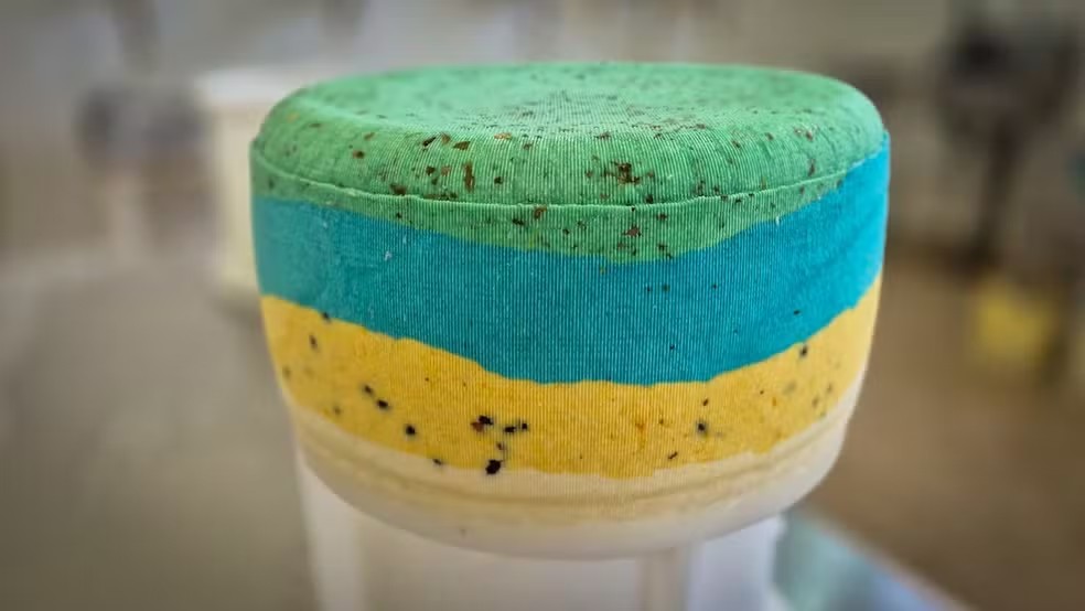 Queijo Verde, Amarelo e Azul: Estudantes de Minas Criam Receita Inspirada na Copa do Mundo