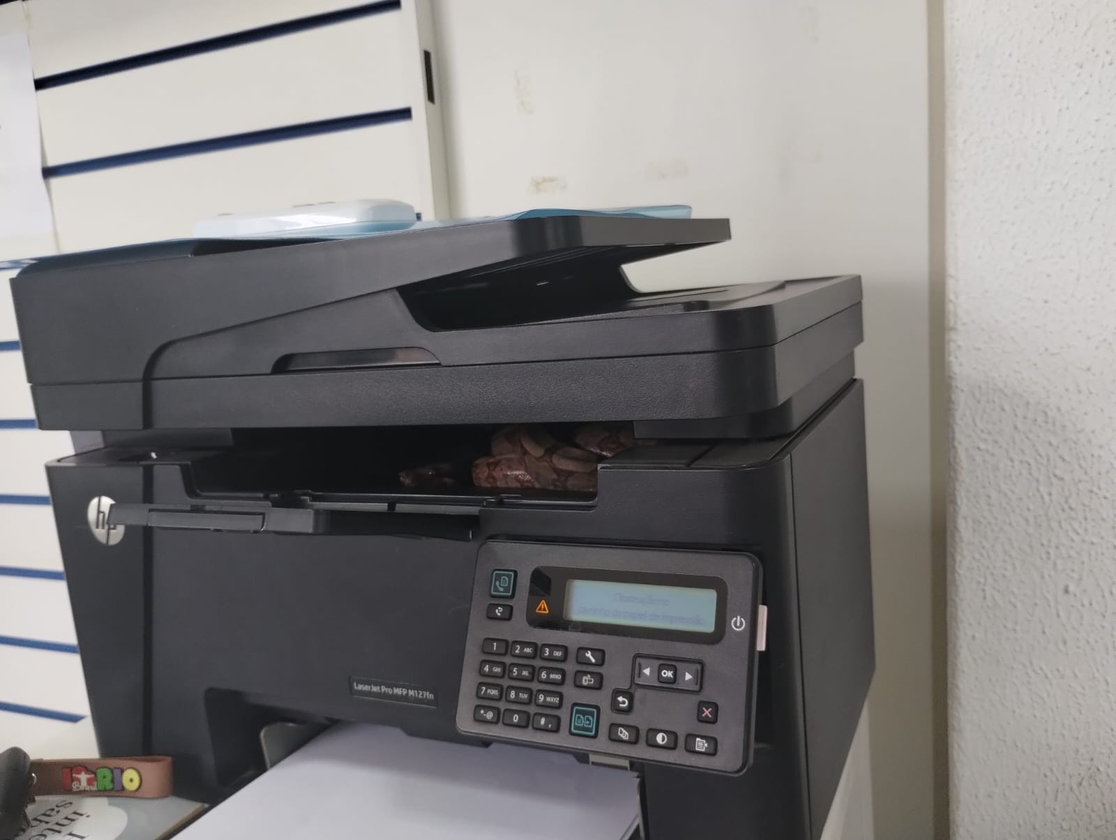 Recepcionista é surpreendida ao encontrar jiboia dentro de impressora de oficina em MG; VÍ