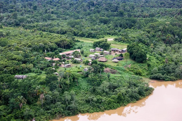 Relatório aponta persistência de gado invasor em terra indígena e conexão com prefeitura