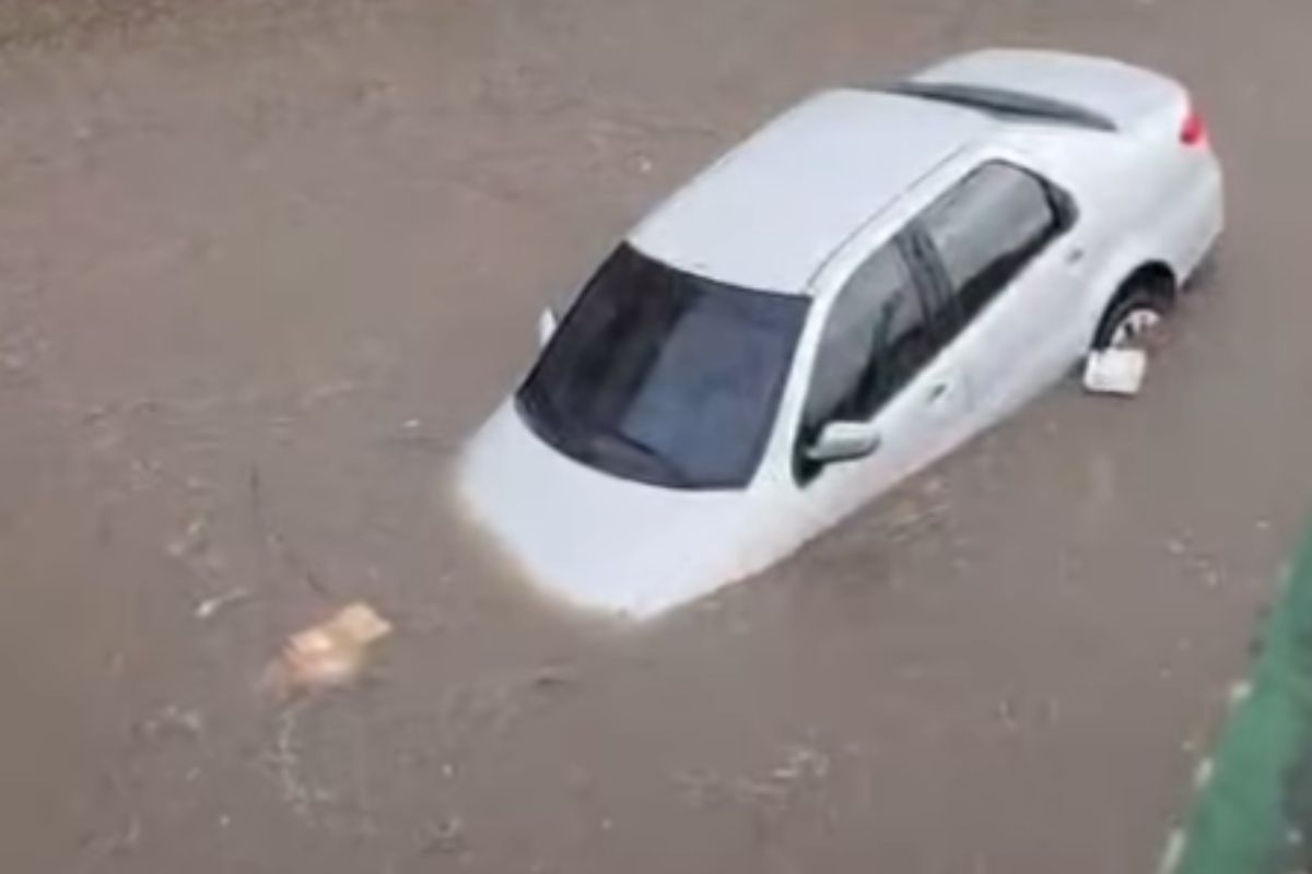 SP tem pontos de alagamento e queda de árvores após chuva forte