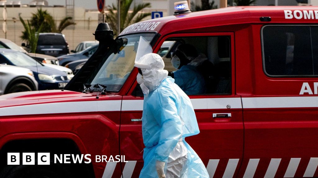Surto de Hantavírus: O que Você Precisa Saber sobre a Doença que Já Matou 3 Pessoas em um Navio de Cruzeiro
