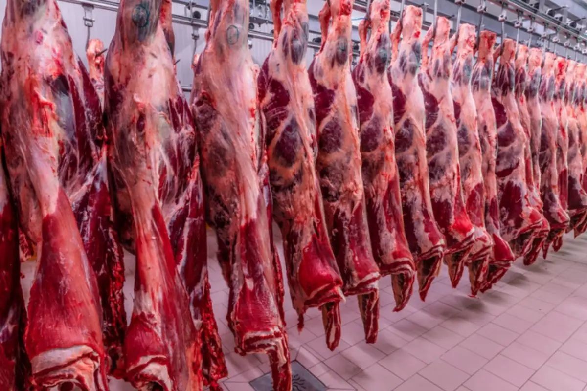 UE Vetou Carnes Brasileiras: O Que Isso Significa para a Economia Brasileira